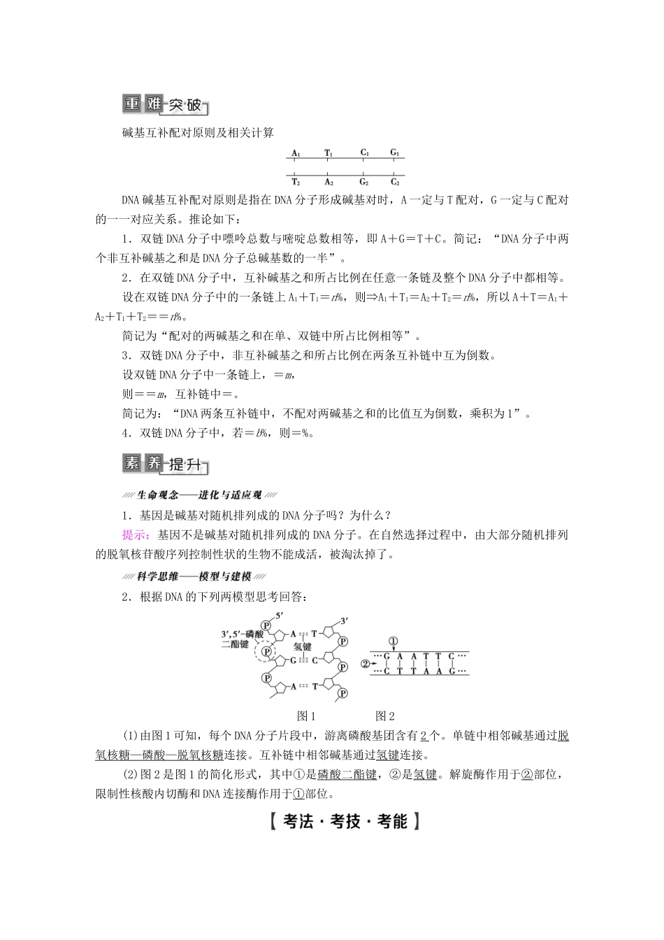 高考生物一轮复习 第6单元 遗传的分子基础 第2讲 DNA分子的结构、复制与基因的本质教学案 新人教版必修2-新人教版高三必修2生物教学案_第3页