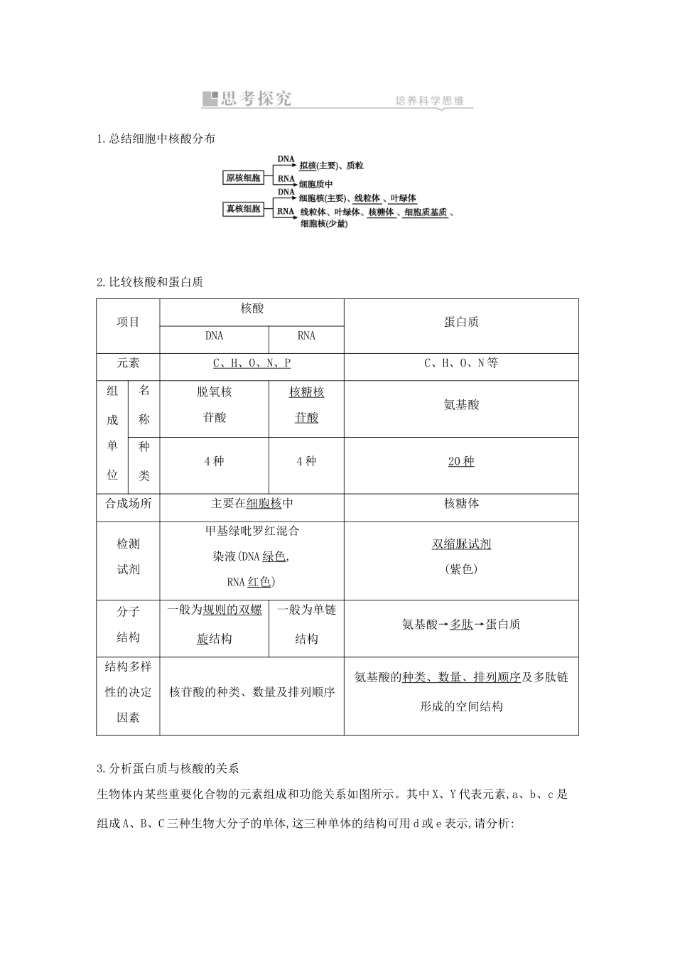高考生物一轮复习 第一单元 走近细胞和组成细胞的分子 第4讲 核酸、糖类和脂质教案 新人教版-新人教版高三全册生物教案_第2页