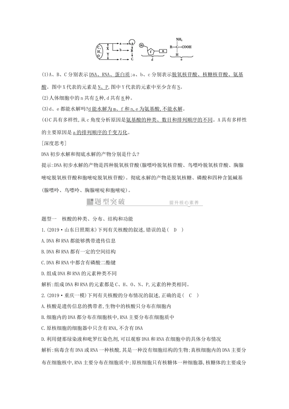 高考生物一轮复习 第一单元 走近细胞和组成细胞的分子 第4讲 核酸、糖类和脂质教案 新人教版-新人教版高三全册生物教案_第3页