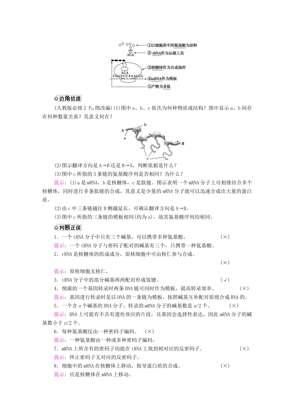 高考生物一轮复习 第6单元 遗传的分子基础 第3讲 基因的表达教学案 新人教版必修2-新人教版高三必修2生物教学案_第3页