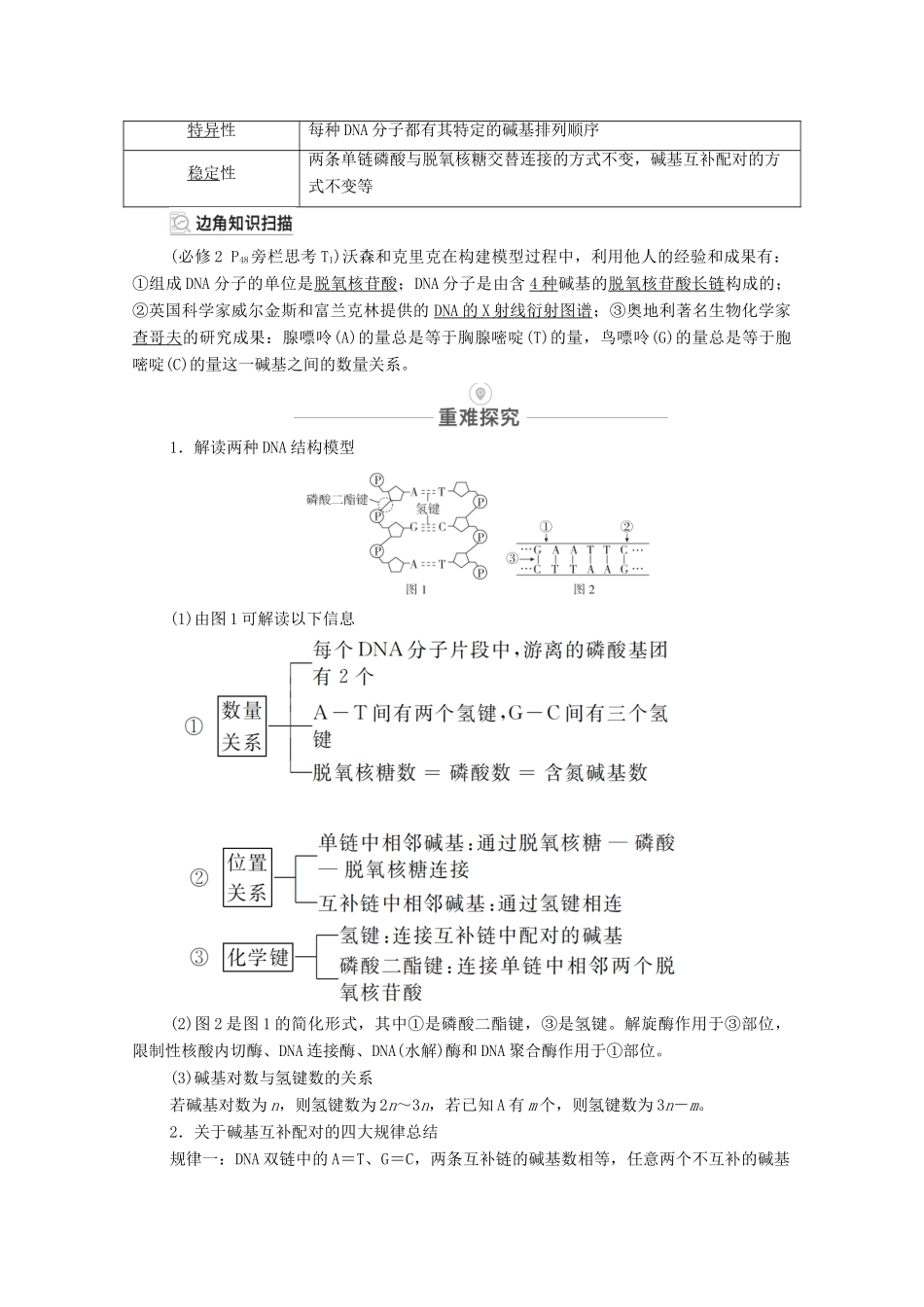 高考生物一轮复习 第6单元 遗传的物质基础 第19讲 DNA分子的结构、复制以及基因的本质教学案 新人教版必修2-新人教版高三必修2生物教学案_第2页