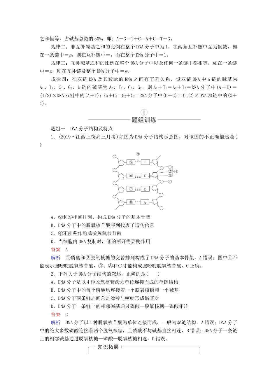高考生物一轮复习 第6单元 遗传的物质基础 第19讲 DNA分子的结构、复制以及基因的本质教学案 新人教版必修2-新人教版高三必修2生物教学案_第3页