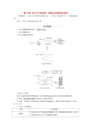 高考生物一轮复习 第6单元 遗传的物质基础 第19讲 DNA分子的结构、复制以及基因的本质教学案 新人教版必修2-新人教版高三必修2生物教学案
