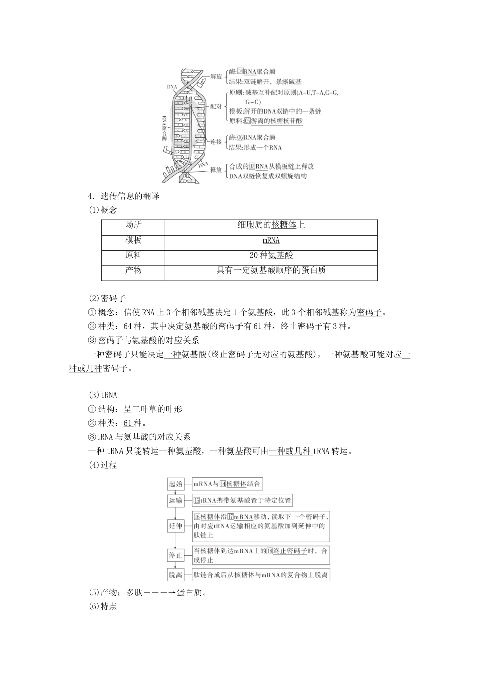 高考生物一轮复习 第6单元 遗传的物质基础 第20讲 基因的表达教学案 新人教版必修2-新人教版高三必修2生物教学案_第2页