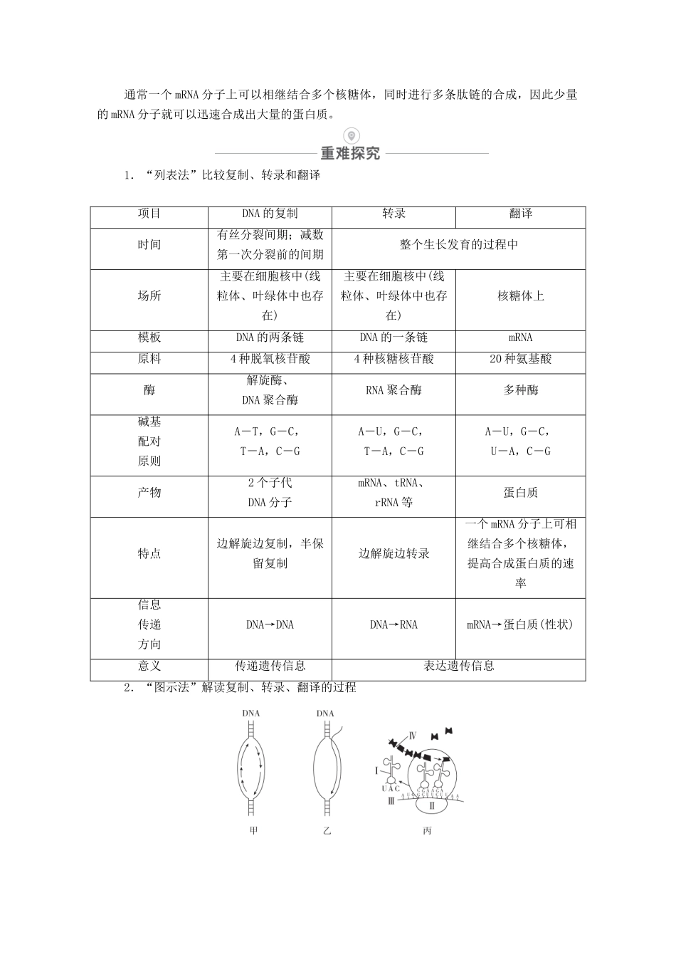 高考生物一轮复习 第6单元 遗传的物质基础 第20讲 基因的表达教学案 新人教版必修2-新人教版高三必修2生物教学案_第3页