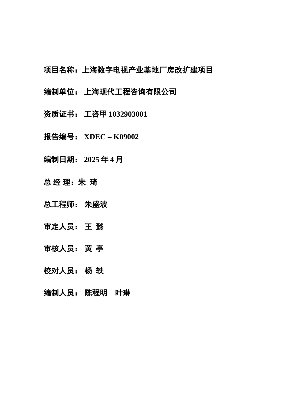 数字产业项目可行性研究报告_第3页