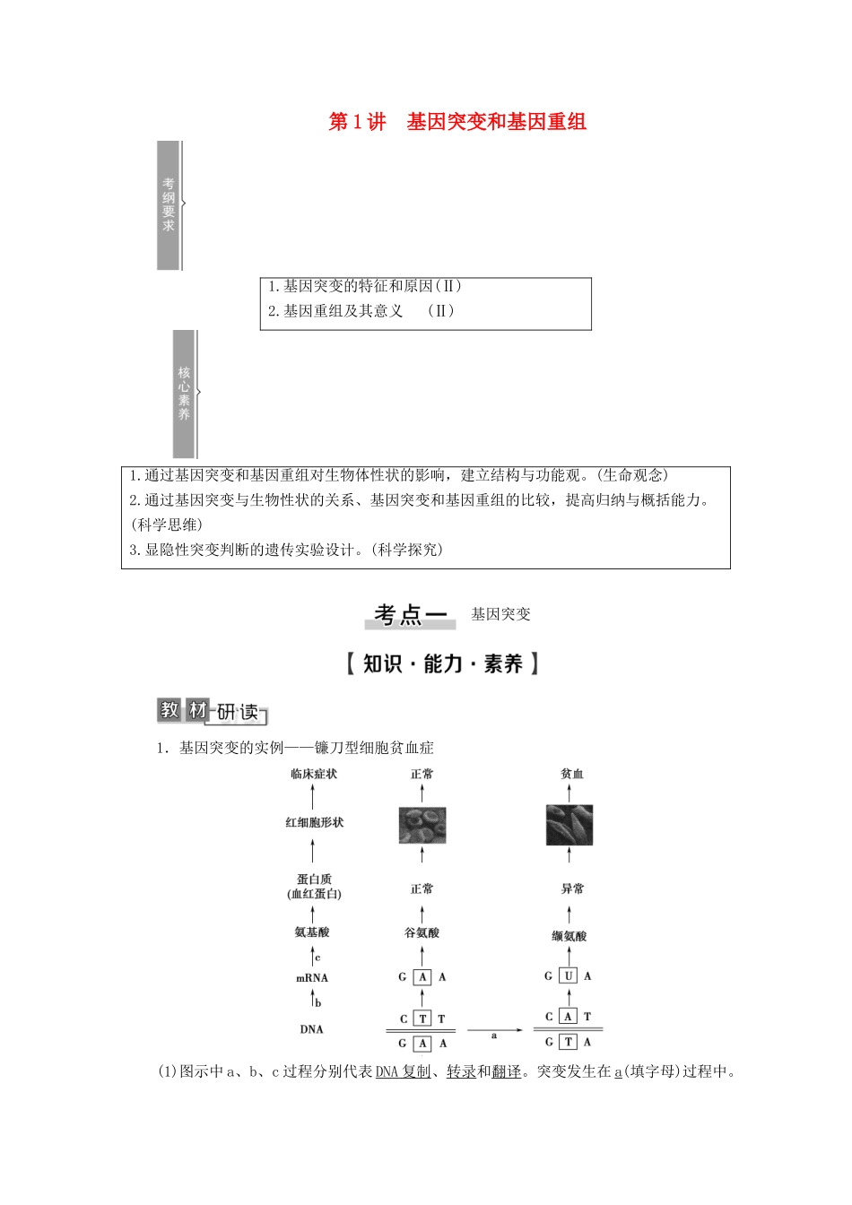 高考生物一轮复习 第7单元 生物的变异、育种与进化 第1讲 基因突变和基因重组教学案 新人教版必修2-新人教版高三必修2生物教学案_第1页