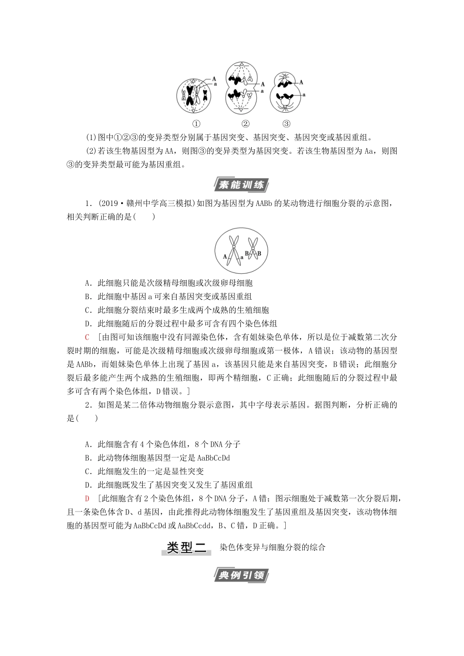 高考生物一轮复习 第7单元 生物的变异、育种与进化 素养加强课7 变异与细胞分裂和遗传定律的综合教学案 新人教版必修2-新人教版高三必修2生物教学案_第2页