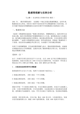 数感的理解与实例分析