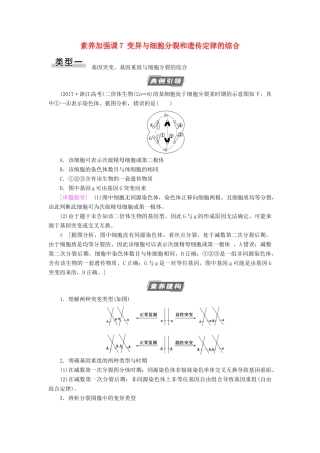 高考生物一轮复习 第7单元 生物的变异、育种与进化 素养加强课7 变异与细胞分裂和遗传定律的综合学案 苏教版必修2-苏教版高三必修2生物学案