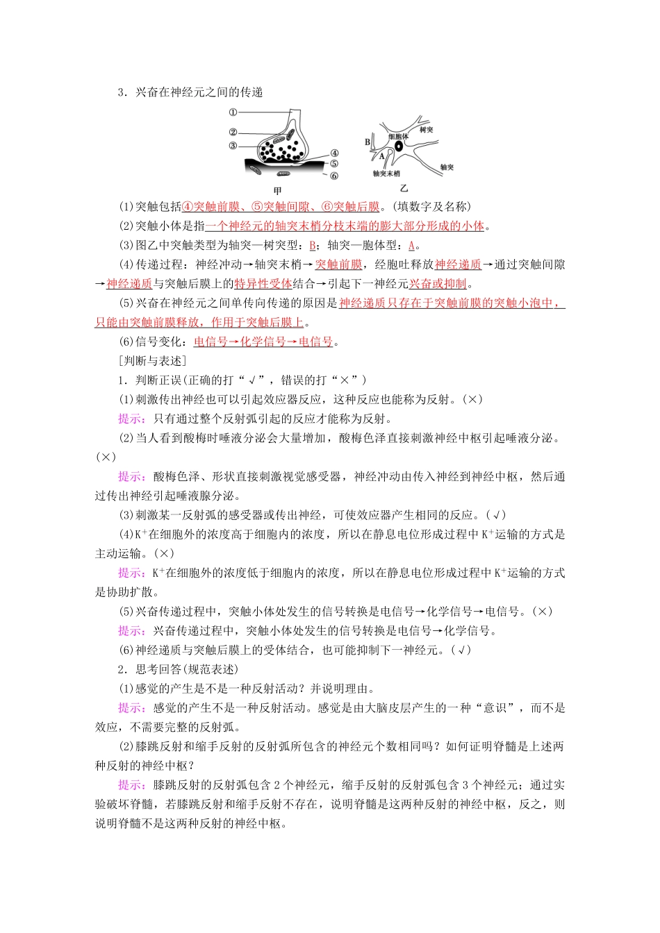 高考生物一轮复习 第8单元 第4讲 人体神经调节与人脑的高级功能教学案 苏教版必修3-苏教版高三必修3生物教学案_第2页