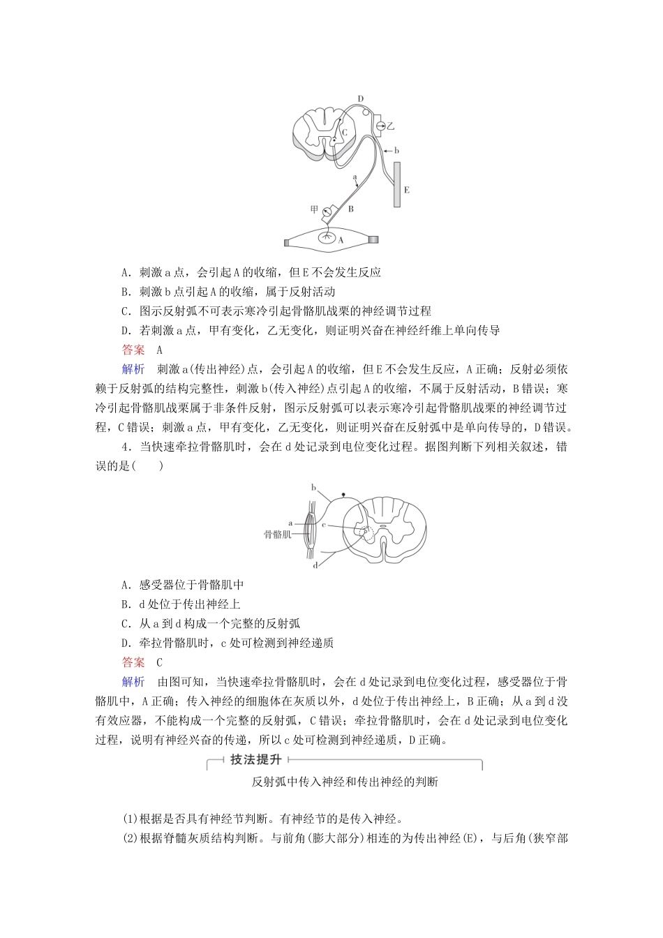 高考生物一轮复习 第8单元 生命活动的调节 第25讲 通过神经系统的调节教学案 新人教版必修3-新人教版高三必修3生物教学案_第3页