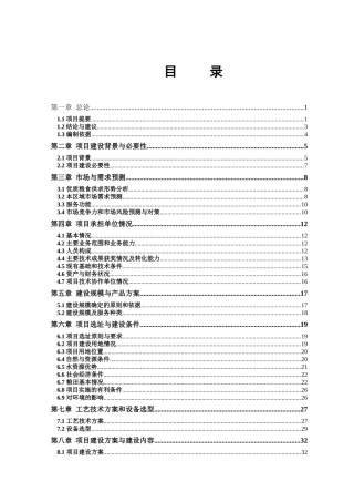 文化广场改造提升工程项目可行性计划书
