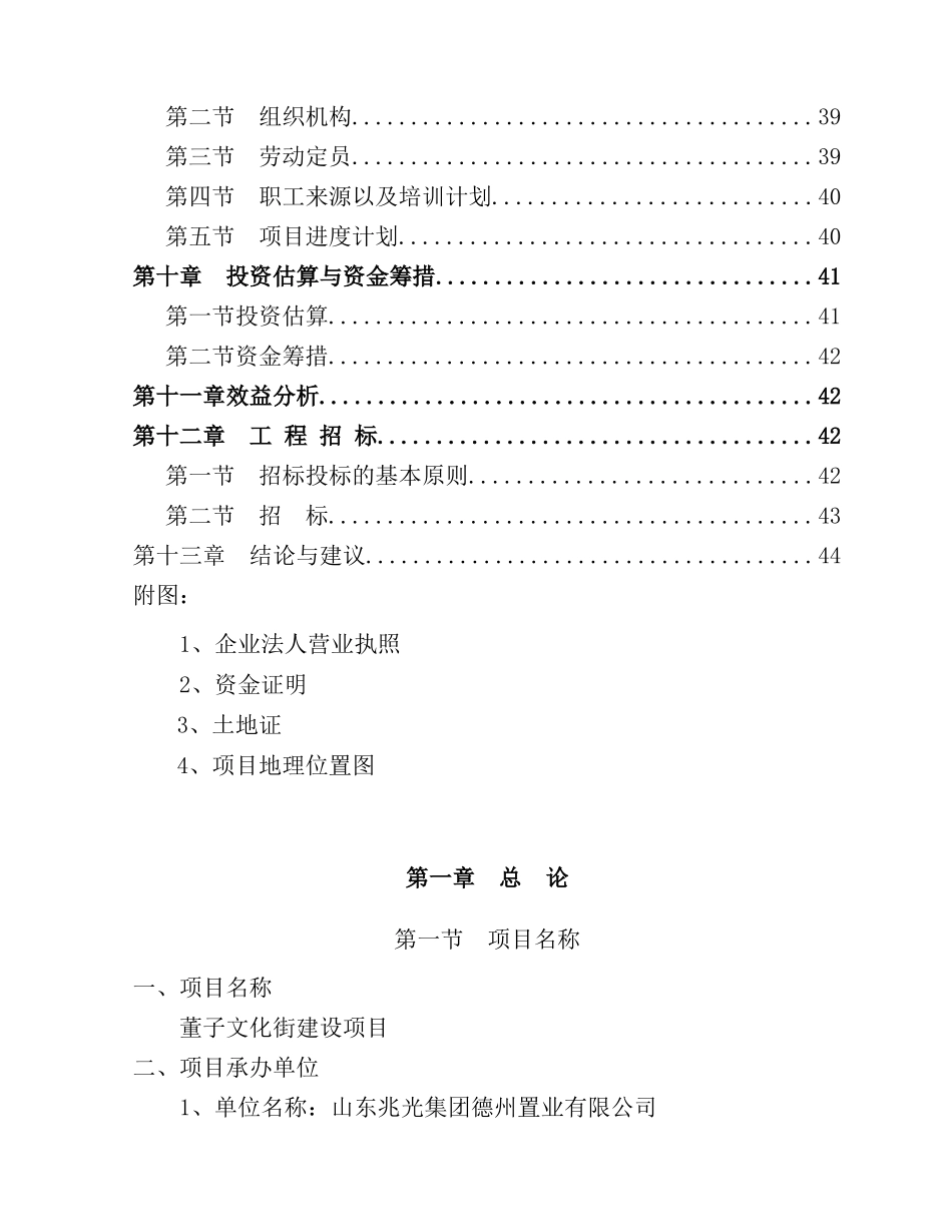 文化街建设项目可行性研究报告_第3页