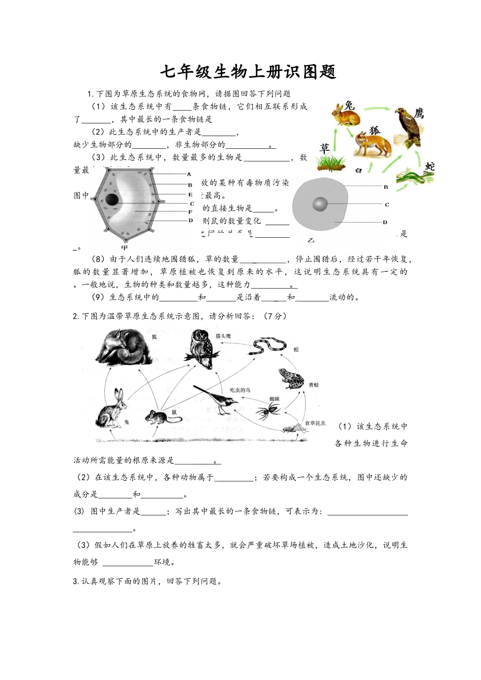 新人教版七年级生物上册识图题_第1页