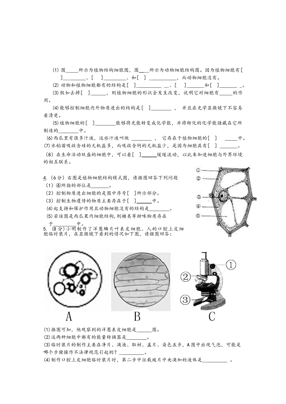 新人教版七年级生物上册识图题_第2页