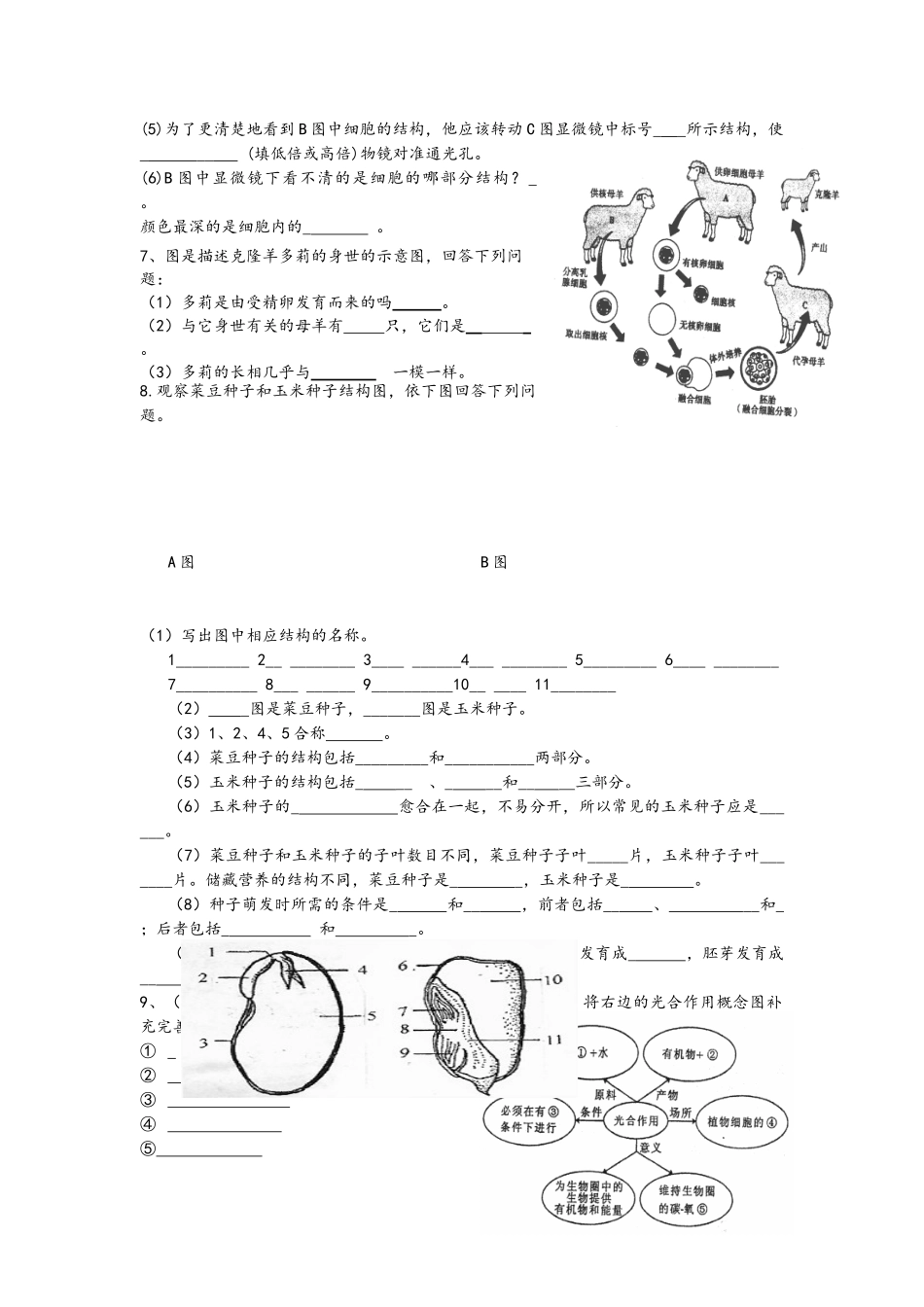 新人教版七年级生物上册识图题_第3页