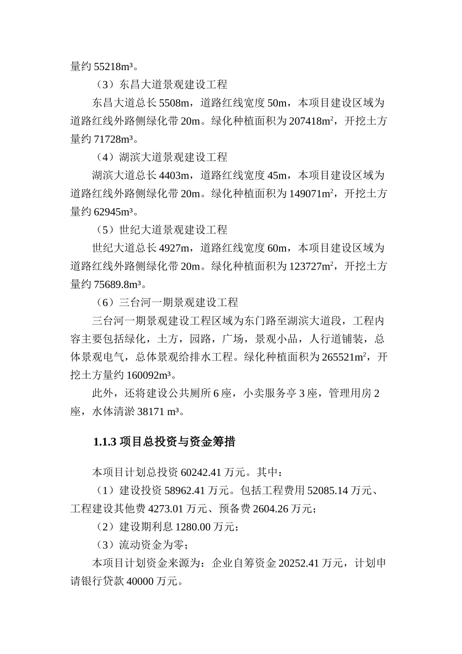 新区道路景观建设项目可行性研究报告_第2页