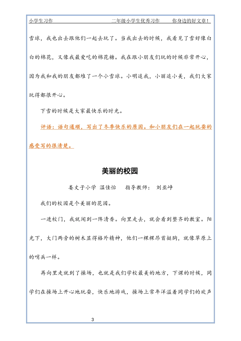 二年级小学生优秀习作_第3页