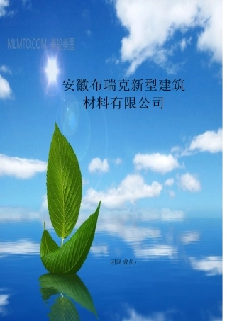 新型煤矸石磁性九孔空心砖创业计划书