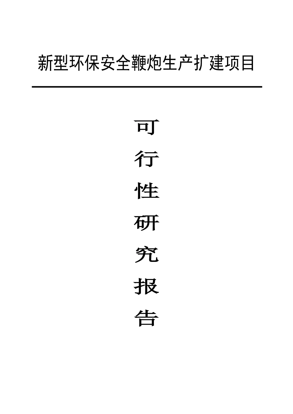 新型环保安全鞭炮生产扩建项目可行性研究报告_第2页