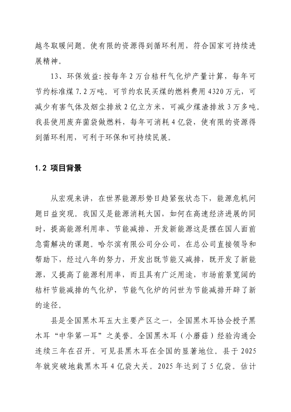 新型节能环保燃料推广应用示范基地建设项目可行性研究报告_第3页