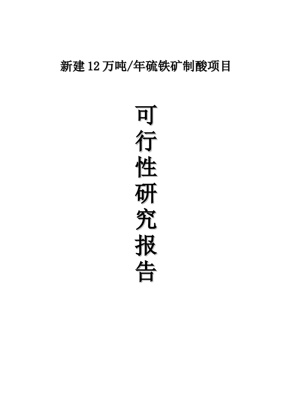 新建12万吨年硫铁矿制酸项目可行性研究报告_第2页