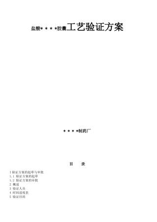 盐酸胶囊工艺验证方案