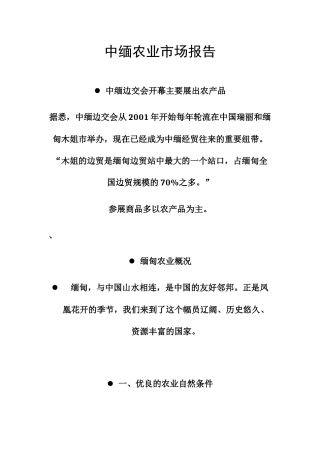 中缅农业市场报告