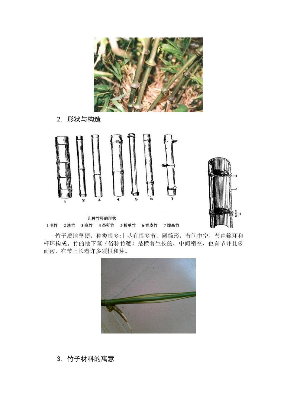 本科毕业设计-竹制品的应用研究_第3页