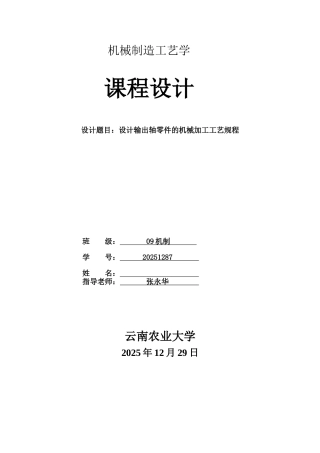 机械制造工艺学课程设计设计输出轴零件的机械加工工艺规程本科论文