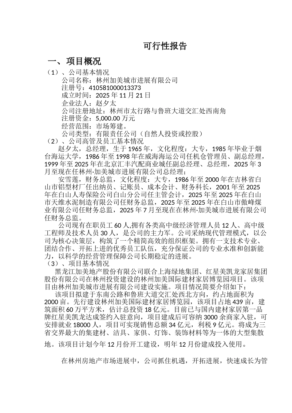 林州加美国际建材家居博览园贷款项目可研报告_第2页