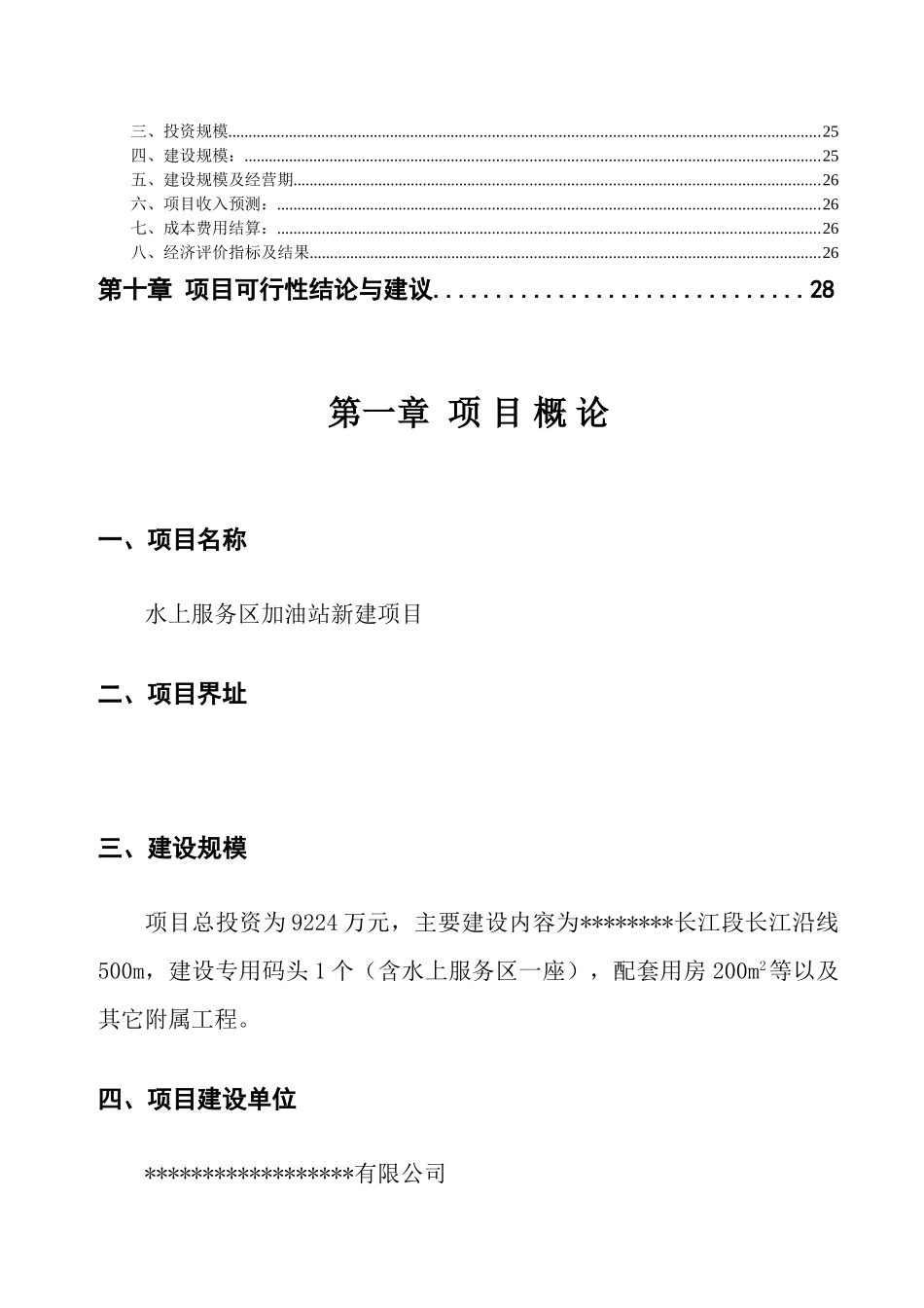 某300吨泵船水上加油站新建项目可行性研究报告_第3页