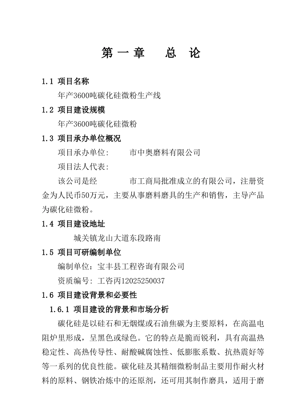 某公司年产3600吨碳化硅微粉生产线建设项目可行性研究报告_第2页