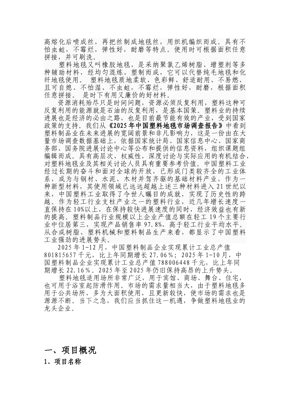 某塑料制品公司投资建设塑料地毯生产项目可行性研究报告_第3页