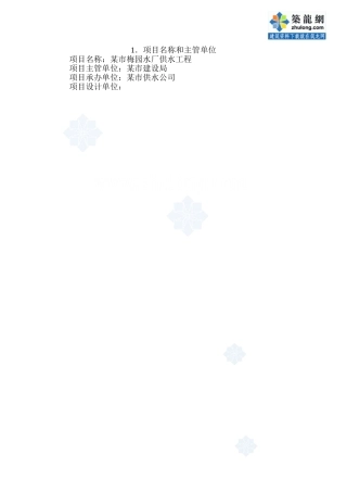 某市10万吨净水厂可研报告