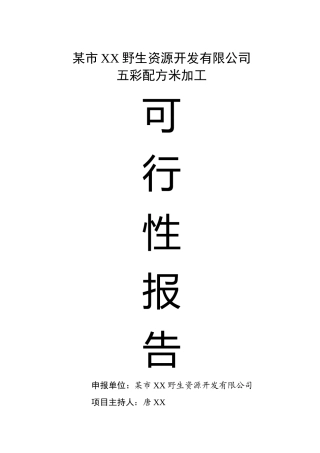 某市XX野生资源开发有限公司五彩配方米加工可行性研究报告