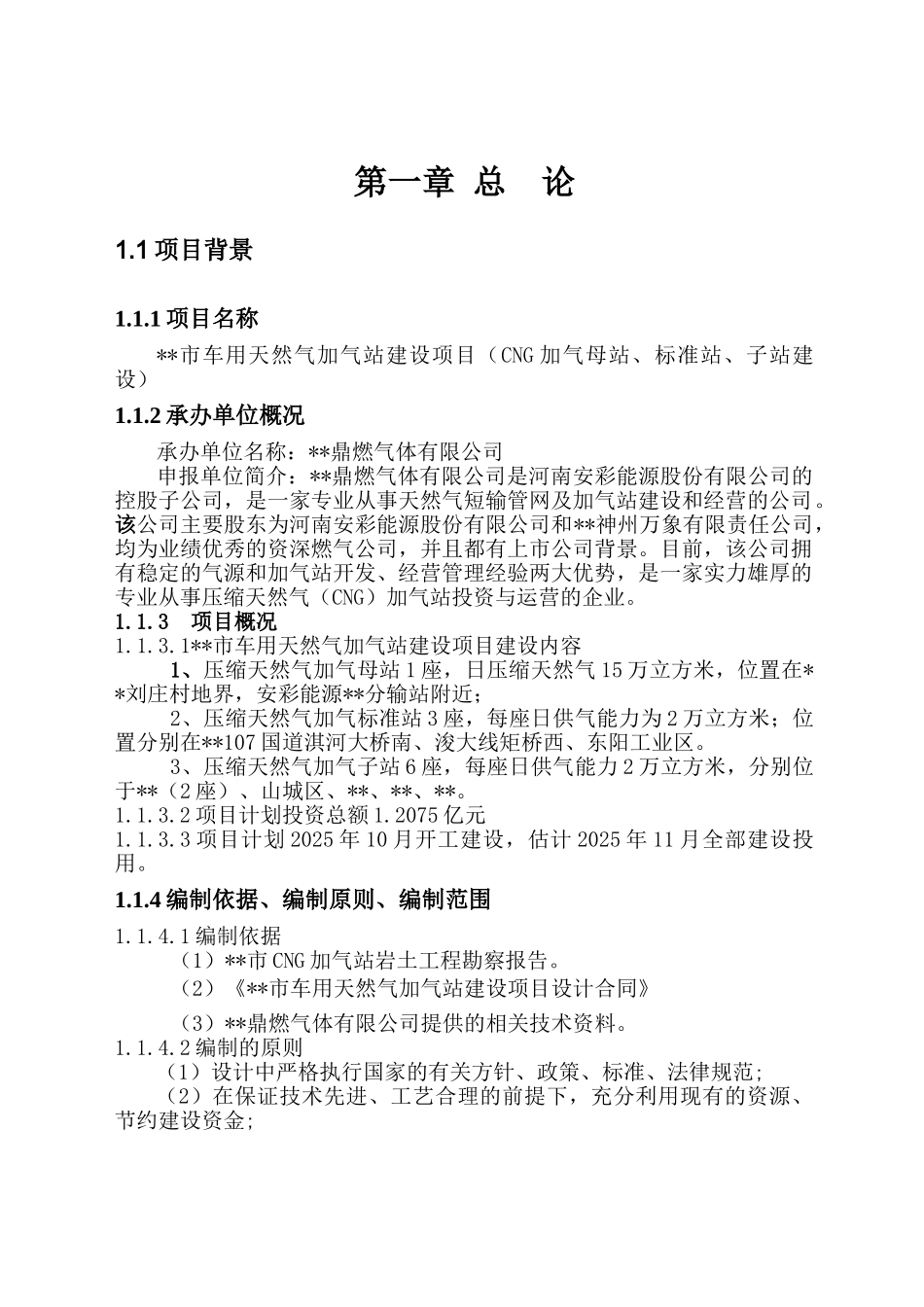 某市压缩天气加气站项目可行性研究报告_第3页