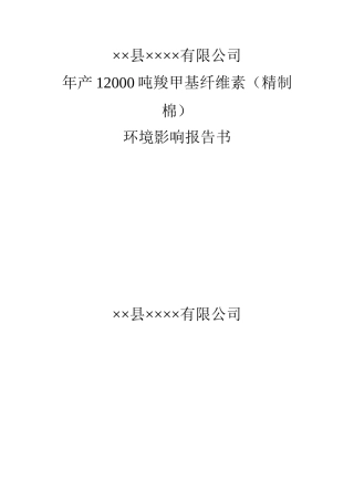 某年产12000吨羧甲基纤维素环境评估报告