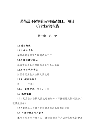 某某县环保铜管及铜制品加工厂项目可行性研究报告