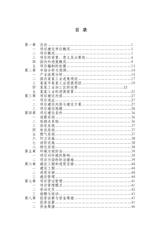 某某工业加工区开发建设项目可行性研究报告
