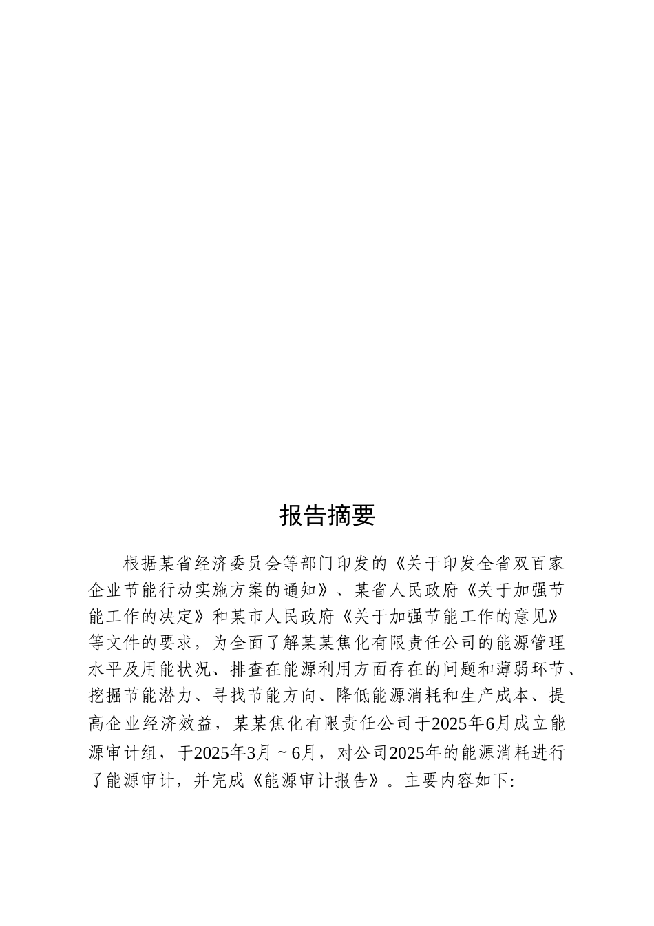 某某焦化企业能源审计报告_第3页