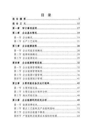 某某焦化企业能源审计报告