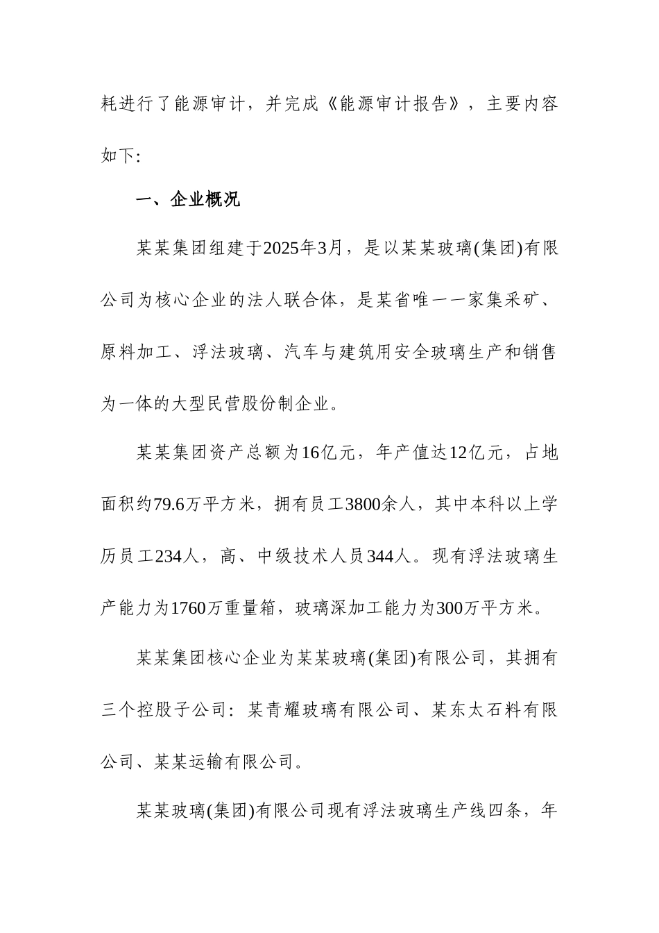 某某玻璃有限公司能源审计报告_第3页