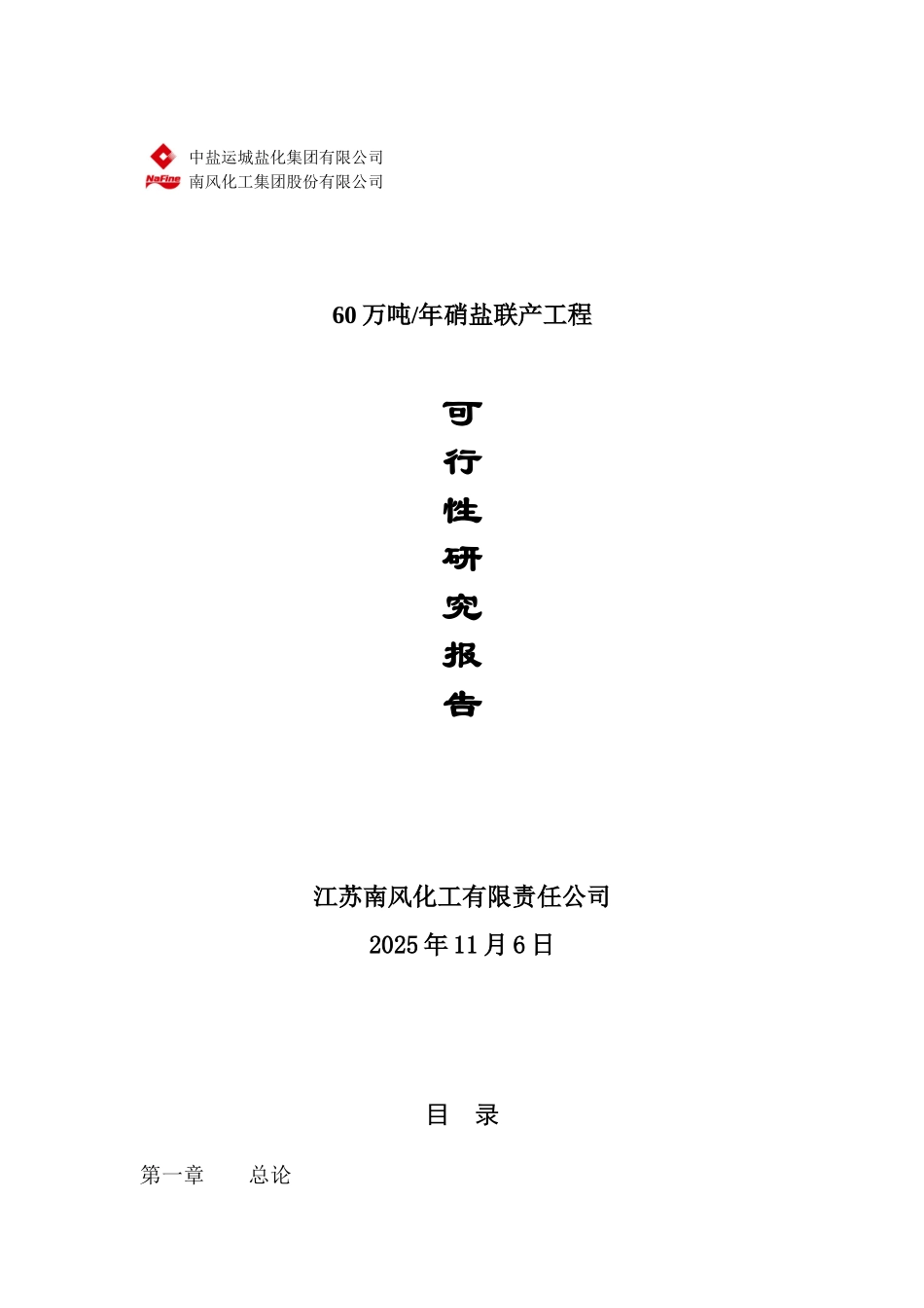 某氯碱化工企业60万吨年硝盐联产工程项目可行性研究报告_第2页