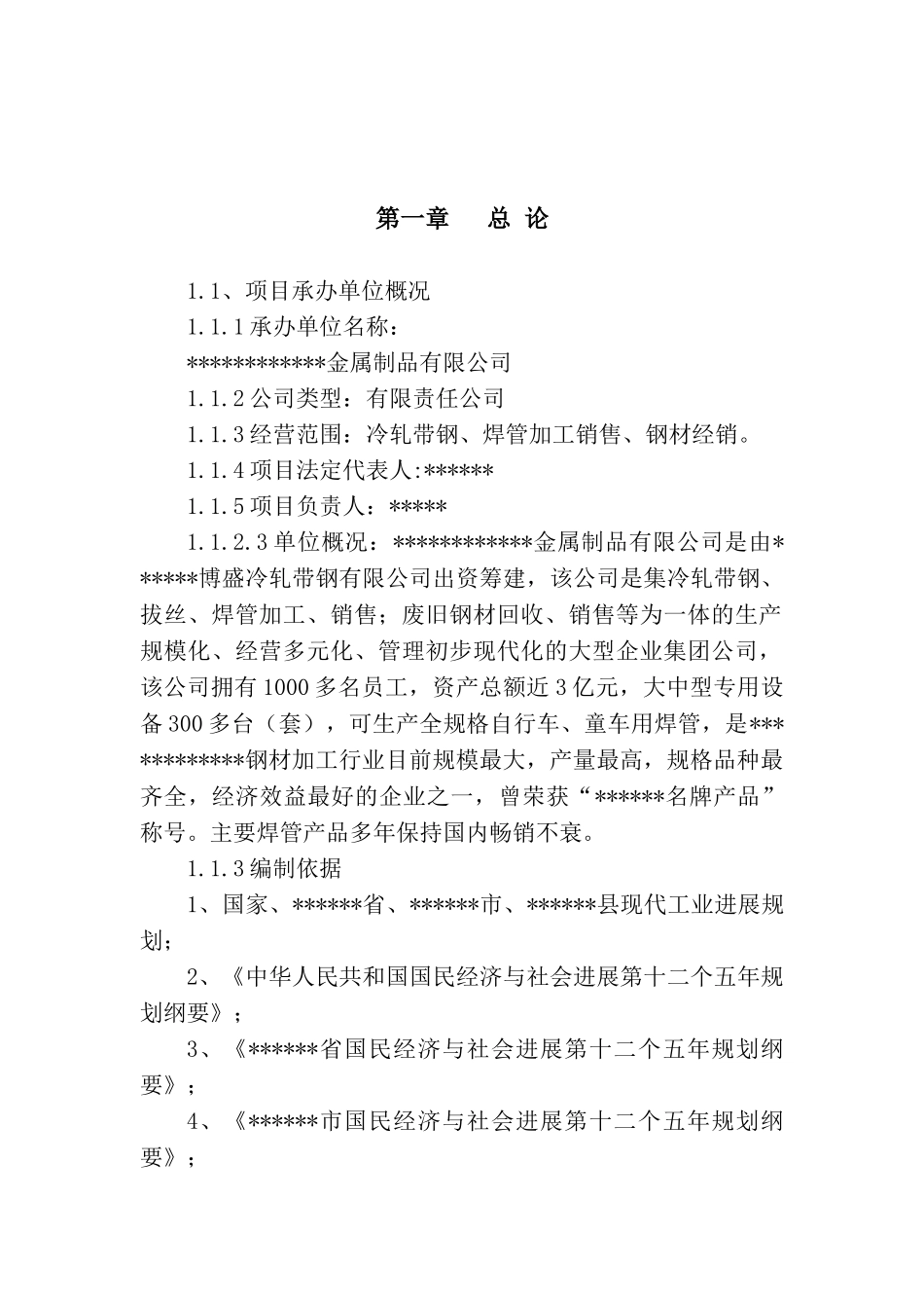某焊管项目可行性研究报告_第2页