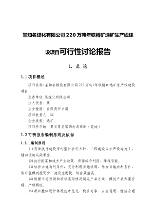 某煤化有限公司220万吨年铁精矿选矿生产线建设项目可行性研究报告