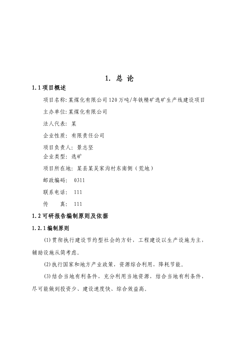 某煤化有限公司120万吨年铁精矿选矿生产线建设项目可行性研究报告_第1页