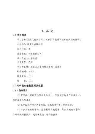 某煤化有限公司120万吨年铁精矿选矿生产线建设项目可行性研究报告