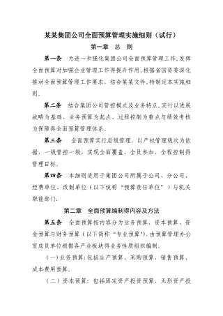 某矿业集团全面预算管理实施细则
